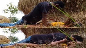 Desi village couple enjoys outdoor sex in MMS video