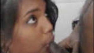 Office colleagues indulge in a steamy blowjob session