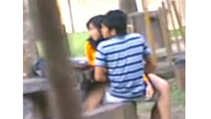 Desi students have sex in the park and are recorded by Voyur
