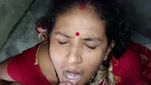 Desi bhabhi gets her pussy fucked hard in this hot video